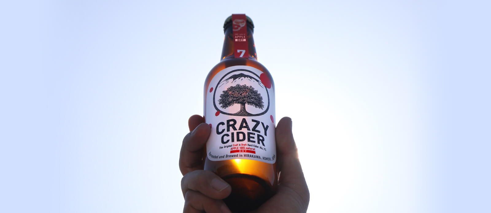 CRAZY CIDER